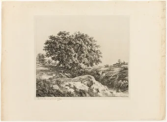 Buketten med trær, eller Lindens (Sarthe-souvenir)