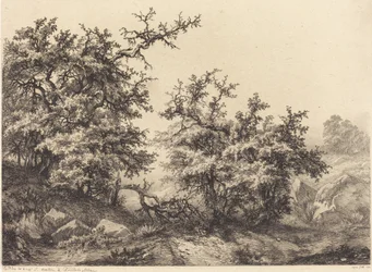 Tornbusker, 1840.