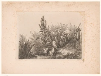 Waterzuring en riet aan de oever Vann tålmodighet ved den lille ventilen Studier tegnet og gravert fra naturen (...) (serietittel)