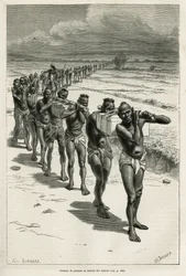 Søyle av bærere gjennom rismarkene, mellom Bassac og Hue, etset etter en tegning av Eugene Burnand, for å illustrere historien om Laos og de ville populasjonene i Indokina, av Dr. Harmand, i 1877, publisert i tour du monde, under det direkte
