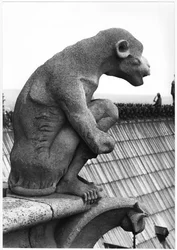 Monkey gargoyle, fra balustraden til Grande Galerie på vestfasaden, kopi av en original fra 1100-tallet (stein) (s/hvitt-bilde)