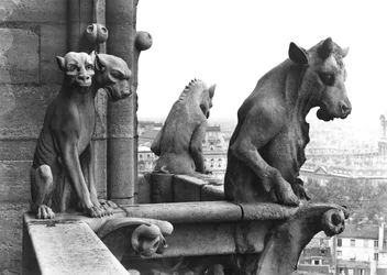 To gargoyler fra balustraden til Grande Galerie på vestfasaden, kopi av en original (stein) fra 1100-tallet (s/hv-bilde)