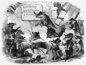 Rottenes råd