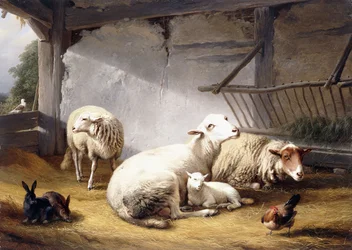 Sauer, kaniner og en kylling i en låve, 1859