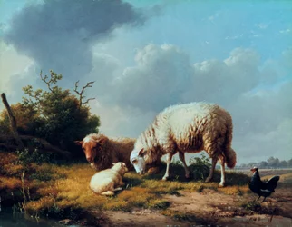 Sau og fjærkre i et landskap, 1800-tallet.