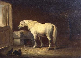Hvit hest i en stall (panel)