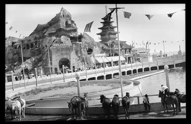 View of Coney Island, 1909 (nitrat negativ)