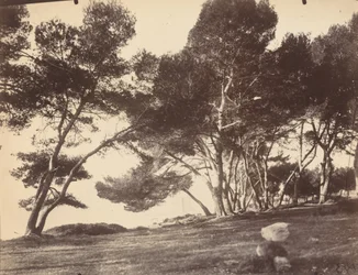 Cannes, øya Saint Honorat