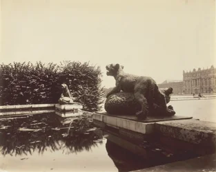 Versailles, Fontaine du Point du Jour, Tiger Slaying a Bear av Houzeau, 1903.
