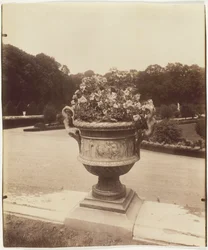 Versailles, Vase av Ballin, 1902.