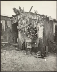 [Villa d#39;un Chiffonier (Filleplukkerhytta)]