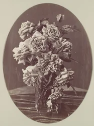 [Roses], ca. 1875.    1177577   no       norwegian Successfully Translated  Original: Architecture Pittoresque ou Monuments des xveme. Et xvieme. Siecles: Chateaux De France des XV et XVI Siecles: Pl.2, Portail de LEglise de Villiers Sur-Tholon (Yonne) Tra