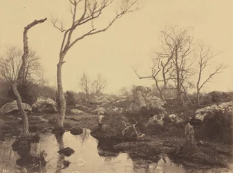Vakkert kors, ca. 1858 (foto)