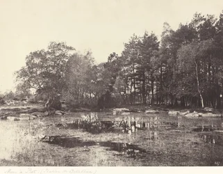 Myr ved Piat (Belle-Croix-platået)