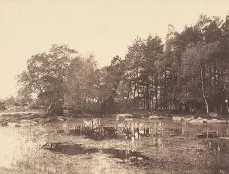 Myr ved Piat (Belle-Croix-platået), ca. 1863 (bilde)