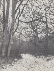 Vei i skogen, 1860-1863.