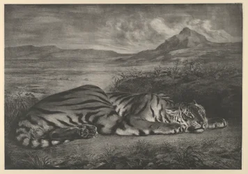 Royal Tiger, 1829., 1829.