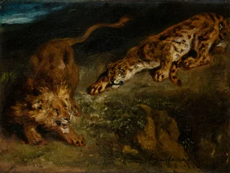 Tiger og løve