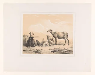Geit, sau og to lam Ulike dyr (serietittel) Etudes d