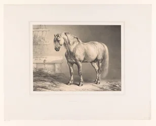 Hest i stall Ulike dyr (serietittel) Etudes d