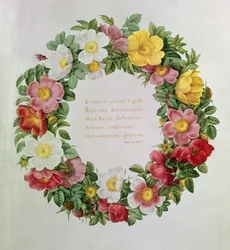 Claude-Antoine Thory Les roses, Frontispice: Garland with an Epigraph of Ode V av den greske poeten Anacreon, 1817 (litografi)