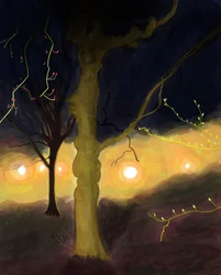 05:20 Prospect Park, Brooklyn (digital kunst)