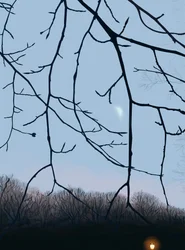 Grener, Dawn, Prospect Park (digital kunst)