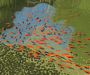 Coy-dam i botanisk hage (digital kunst)
