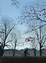 Syklist, morgen, Prospect Park (digital kunst)