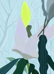 Lily (digital kunst)