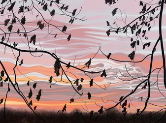 Eikeblader og himmel, Brooklyn (digital kunst)