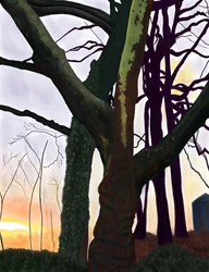 Trær, Prospect Park, Brooklyn (digital kunst)