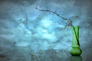 Stille blå blomster
