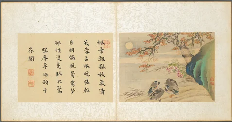 Album med diverse emner, blad 8, 1600-tallet.