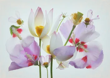 Eterisk blomsterkomposisjon