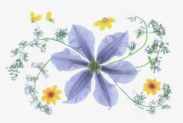 Frisk blomsterkomposisjon