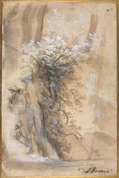 Blomstrende busk over en erodert bank, 1565-1570.