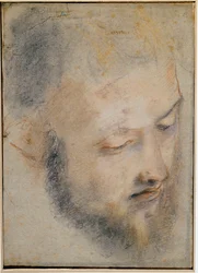 Study of head Drawing by Barocci