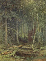 Sump i skogen, høst, 1872