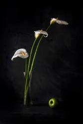 Calla-liljer og eple