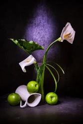 Elegante calla-liljer og grønne epler
