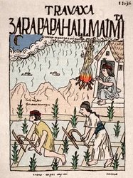 Inkariket: Et indiansk par fra Hatun Runa-klassen arbeider jorden i januar - blekktegning fra Don Felipe Puma de Ayalas manuskript «Nueva coronica y buen gobierno», som illustrerer inkaenes liv - 16. århundre
