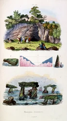Botanisk og zoologisk illustrasjon av F.E. Guerin. Fra *Pittoresk ordbok for naturhistorie og naturfenomener* - 1833/1834