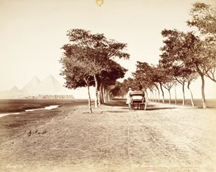 Kairo, Pyramidealléen #98