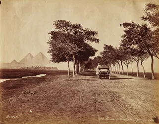 Kairo. Alley of Pyramids