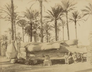 Kolosal klassisk statue i Memphis (Senwosret III)