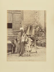 Egyptisk kvinne med et esel