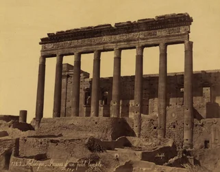 Ubundet søylegang foran et tempel i Palmyra, Syria