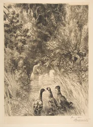 Overrasket ender, 1882.