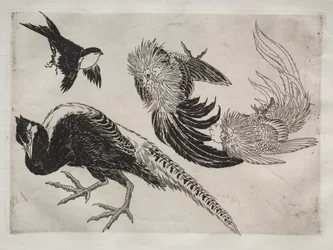 Middagsservering Rousseau-servering: Fasaner og fugl nr. 18, 1866.